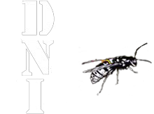 D.N.I (Destruction Nids d'Insectes)